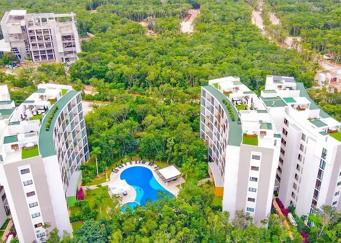 Paradise In A Rainforest Reserve B 503