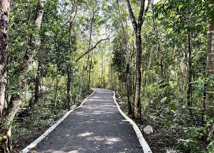 Paradise In A Rainforest Reserve B 503 *
